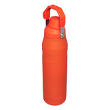 ICEFLOW™ BOTTLE WITH FAST FLOW LID